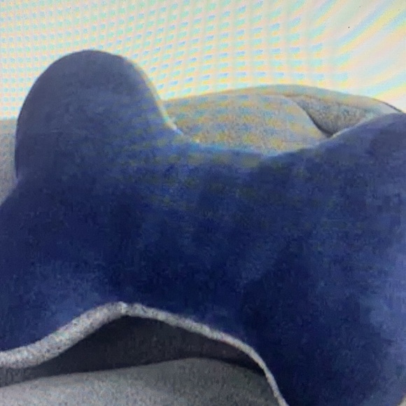 2 TIMES HOST PICK New small blanket and pillow small pets FIRM - Picture 4 of 8